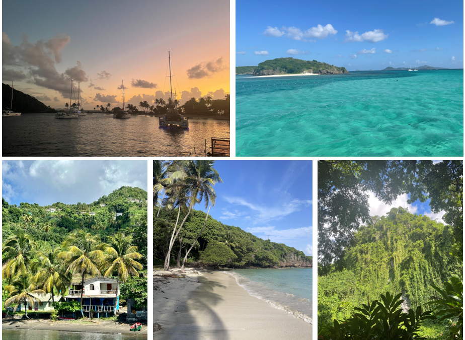 Croisière dans les Grenadines – Le coup de cœur de Nathalie
