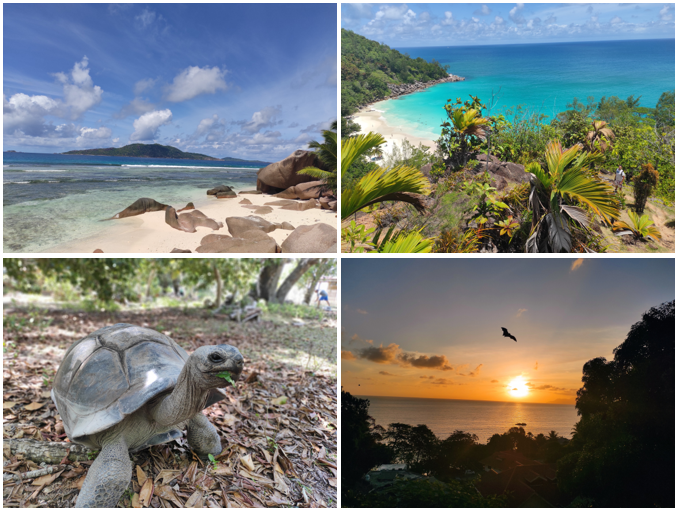 Voyage aux Seychelles – Le coup de cœur de Tiphaine