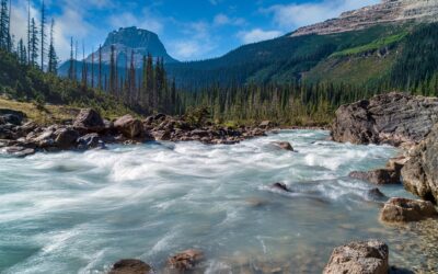 Voyage dans l&rsquo;Ouest Canadien – Le coup de cœur de Camille