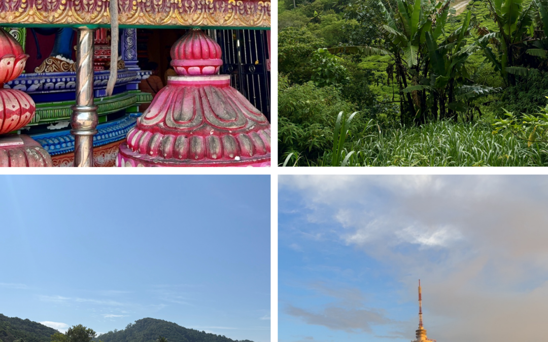 Voyage en Malaisie
